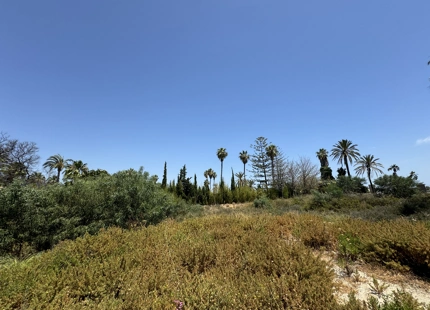 AMPLIO TERRENO CON LICENCIA APROBADA Y PROYECTO EN NUEVA ANDALUCÍA