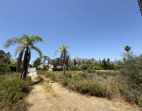 EXPANSIVE PLOT WITH APPROVED LICENSE AND PROJECT IN NUEVA ANDALUCÍA
