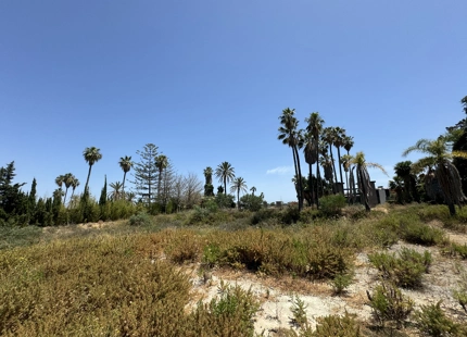 AMPLIO TERRENO CON LICENCIA APROBADA Y PROYECTO EN NUEVA ANDALUCÍA