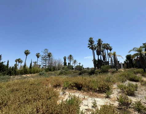 EXPANSIVE PLOT WITH APPROVED LICENSE AND PROJECT IN NUEVA ANDALUCÍA