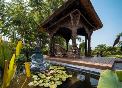 EXTRAORDINARY VILLA WITH A HUGE PLOT IN BENAHAVIS