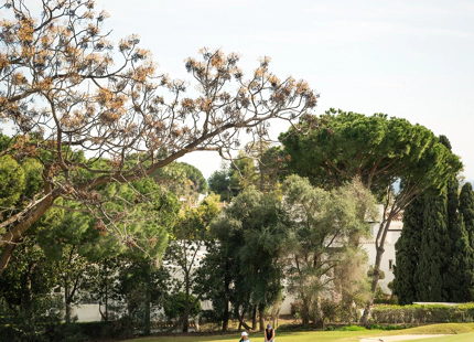 EXCEPTIONAL 4-BEDROOM TOWNHOUSE FOR SALE IN NUEVA ANDALUCÍA