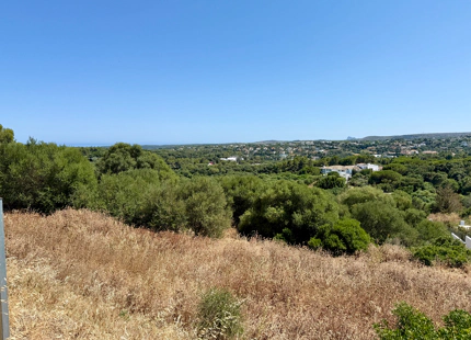 **Terreno en venta en la prestigiosa reserva de Sotogrande**