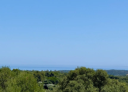 **Terreno en venta en la prestigiosa reserva de Sotogrande**