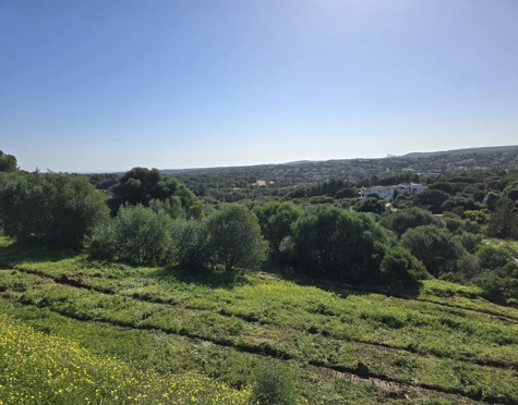**Land for sale - in Luxury Sotogrande Reserve**