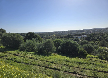 **Terreno en venta en la prestigiosa reserva de Sotogrande**