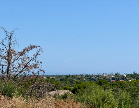**Land for sale - Sotogrande Reserve**