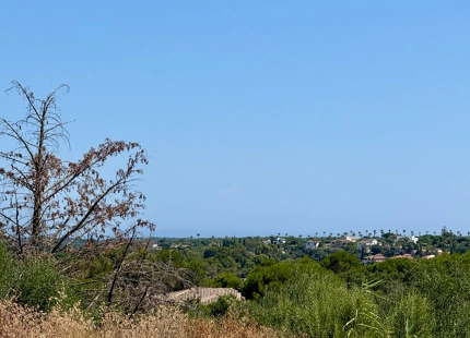 **Terreno en venta - Reserva de Sotogrande**