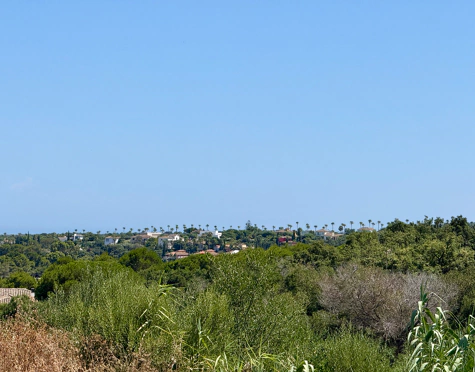 **Land for sale - Sotogrande Reserve**