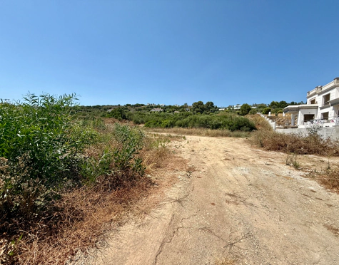 **Land for sale - Sotogrande Reserve**