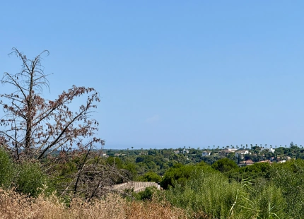 **Terreno en venta - Reserva de Sotogrande**