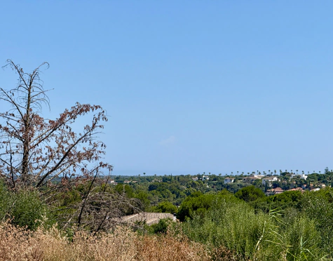 **Land for sale - Sotogrande Reserve**