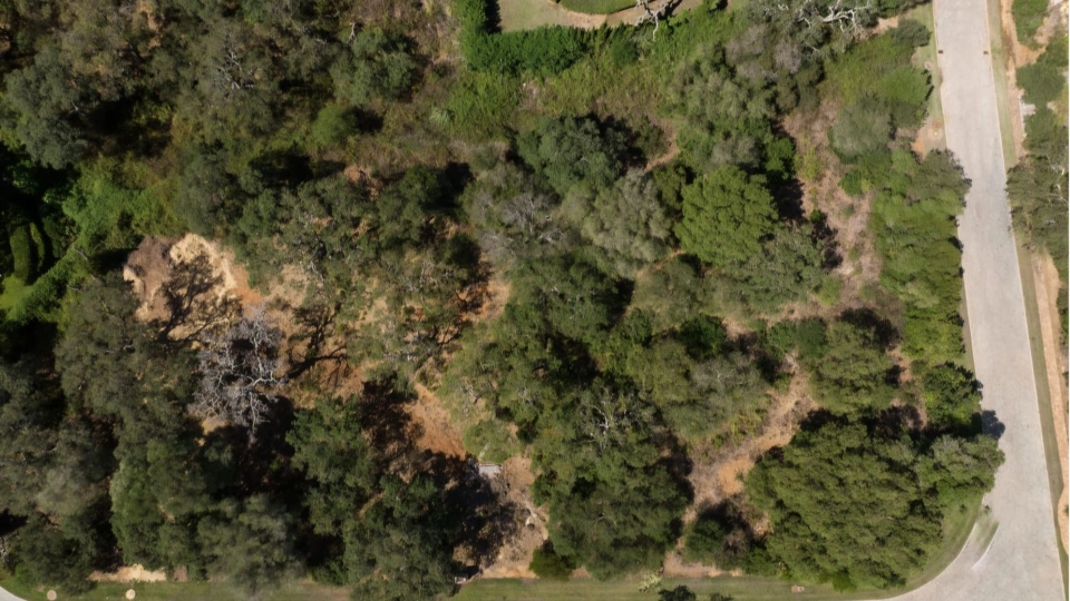 Parcela en venta en Sotogolf, Sotogrande Alto