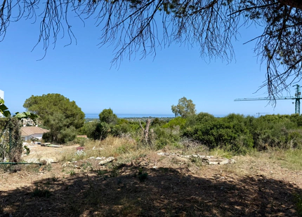**Terreno en venta en la prestigiosa reserva de Sotogrande**