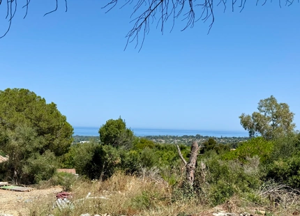 **Terreno en venta en la prestigiosa reserva de Sotogrande**