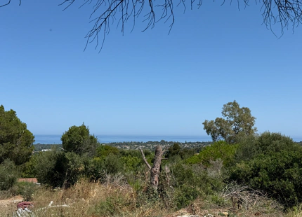 **Terreno en venta en la prestigiosa reserva de Sotogrande**