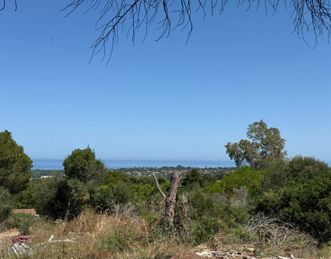 **Land for sale - in Luxury Sotogrande Reserve**
