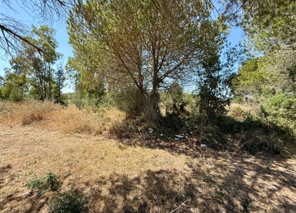 **Terreno en venta en la prestigiosa reserva de Sotogrande**