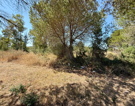 **Land for sale - in Luxury Sotogrande Reserve**