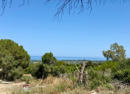 **Terreno en venta en la prestigiosa reserva de Sotogrande**
