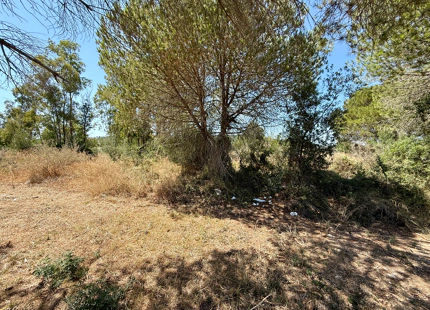 **Terreno en venta en la prestigiosa reserva de Sotogrande**