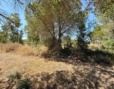 **Land for sale - in Luxury Sotogrande Reserve**