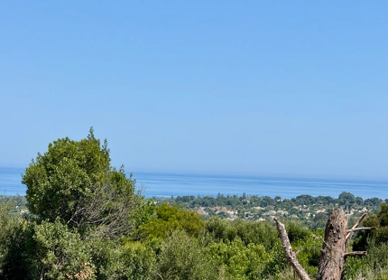 **Terreno en venta en la prestigiosa reserva de Sotogrande**