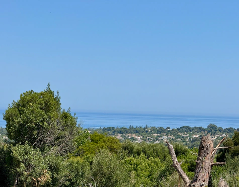 **Terreno en venta en la prestigiosa reserva de Sotogrande**