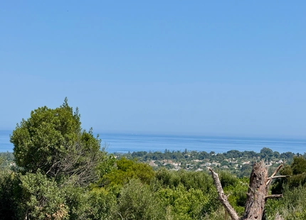 **Terreno en venta en la prestigiosa reserva de Sotogrande**