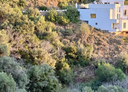 Parcela en venta en El Rosario, Marbella Este