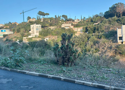 Parcela en venta en El Rosario, Marbella Este