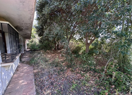 Proyecto de renovación