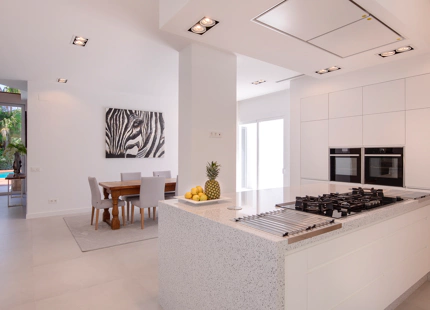 ONE OF A KIND TROPICAL VILLA FOR SALE IN GUADALMINA BAJA