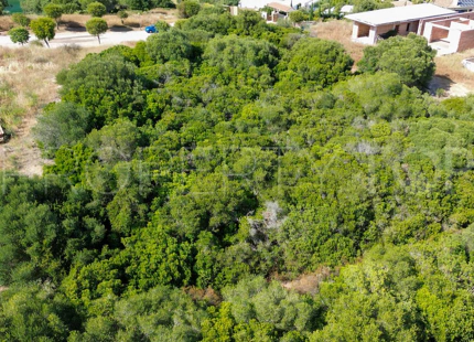 EXPANSIVE FRONTLINE GOLF PLOT FOR SALE IN SOTOGRANDE