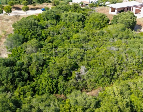 Parcela en venta en La Reserva, Sotogrande