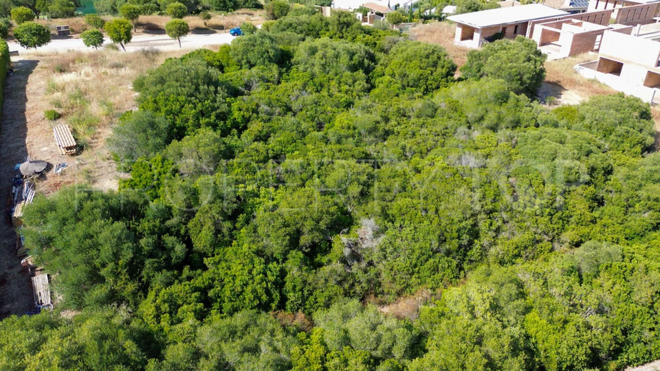 Plot for sale in La Reserva, Sotogrande