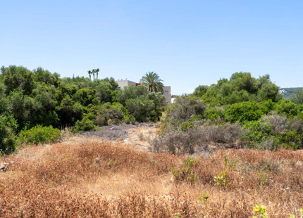 EXPANSIVE FRONTLINE GOLF PLOT FOR SALE IN SOTOGRANDE
