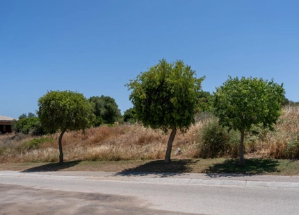 EXPANSIVE FRONTLINE GOLF PLOT FOR SALE IN SOTOGRANDE