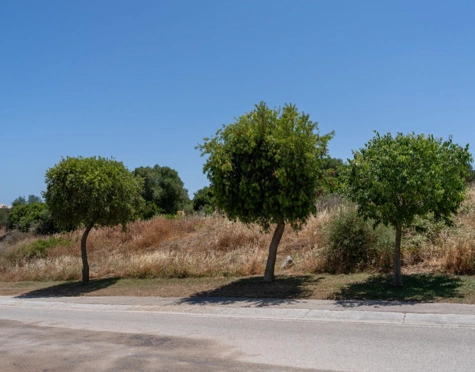 Parcela en venta en La Reserva, Sotogrande