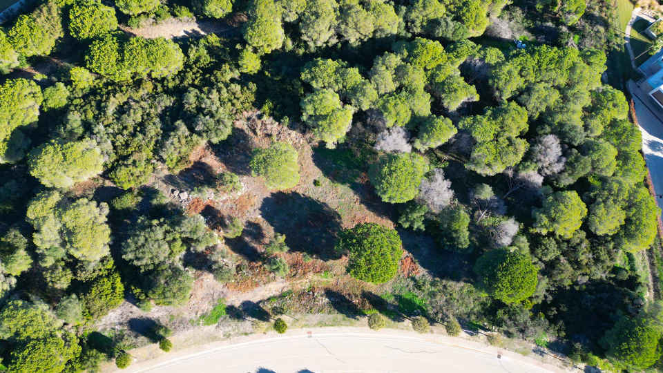 Parcela en venta en La Reserva, Sotogrande