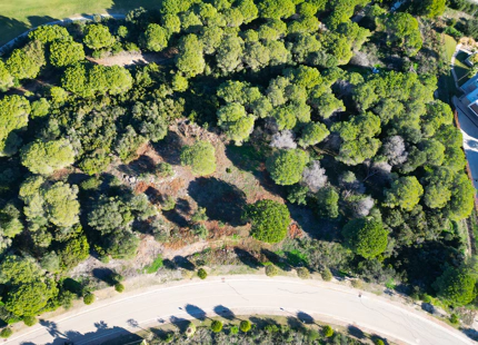 PARCELA EN PRIMERA LÍNEA DE GOLF EN VENTA EN SOTOGRANDE