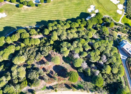 PARCELA EN PRIMERA LÍNEA DE GOLF EN VENTA EN SOTOGRANDE
