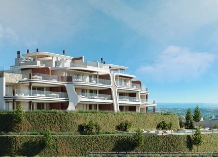 NUEVO PROYECTO EN LA QUINTA