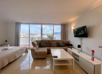 CHARMING DUPLEX PENTHOUSE IN THE HEART OF PUERTO BANUS