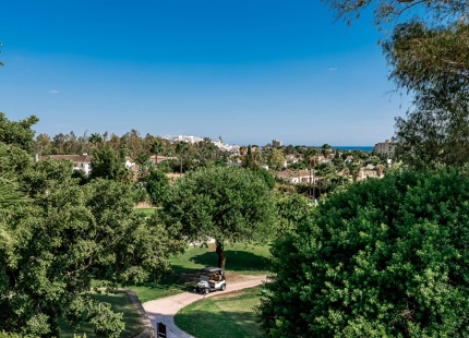 VILLA ELEGANTE EN NUEVA ANDALUCÍA CON UNA ESPECTACULAR PISCINA Y JARDINES