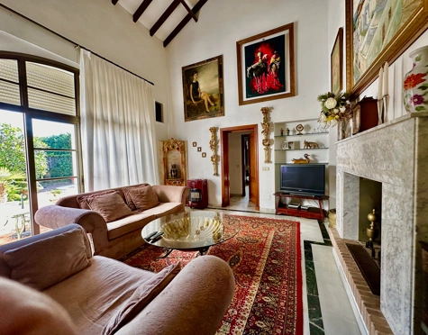 Villa for sale in Cortijo Blanco, San Pedro de Alcantara