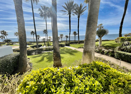 APARTAMENTO EN PLANTA BAJA TOTALMENTE REFORMADA EN ESTEPONA