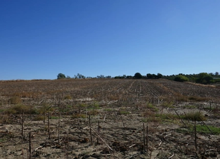 TERRENO PARA LA VENTA EN CADIZ