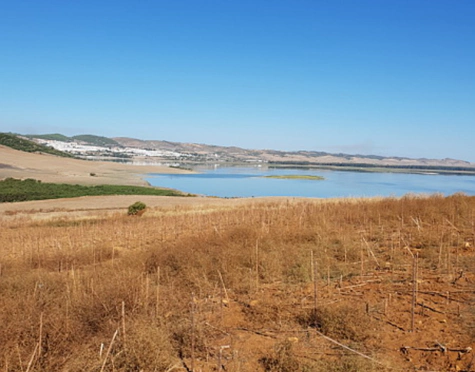TERRENO PARA LA VENTA EN CADIZ