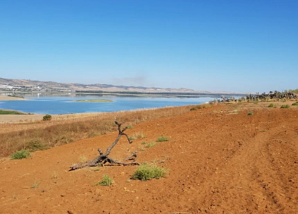 TERRENO PARA LA VENTA EN CADIZ